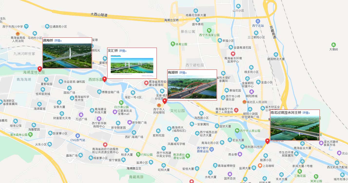 西寧橋梁群安全運(yùn)營(yíng)監(jiān)測(cè)